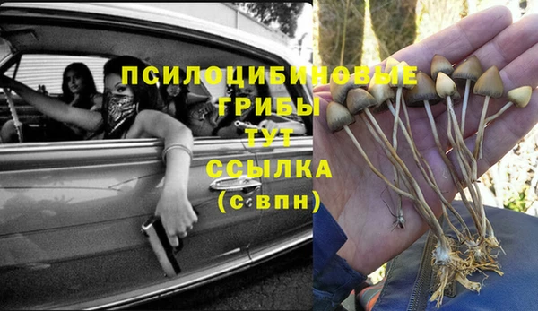 соль ск Богданович