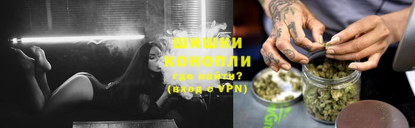 apvp Богородск