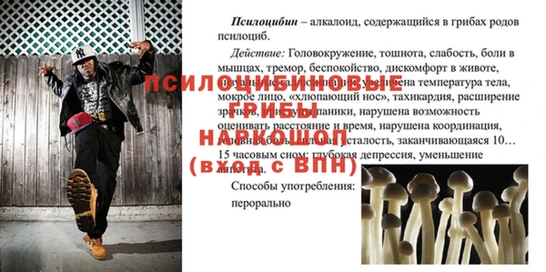 трава Беломорск